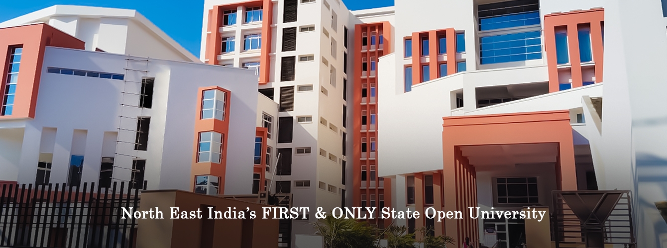 Krishna Kanta Handiqui State Open University